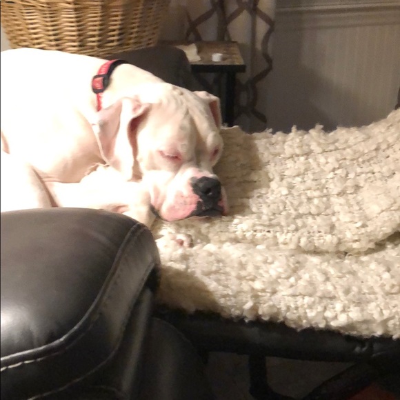 Meet your Posher, Brian - Picture 1 of 1